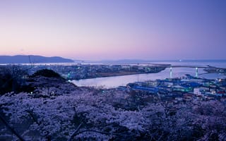 Картинка Япония, мир, природа, фотографии