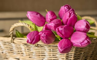 Картинка цветы, тюльпаны розового цвета, плетеная корзина, букеты тюльпанов, плетеная корзина тюльпанов, букеты плетеная корзина, цвета, букеты розового цвета, розовый цвет, цветы розового цвета, тюльпан, букеты