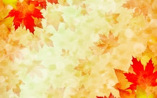 Картинка осенние листья, осень, листовой клён, картинки на телефон, желтые листья, осенний клён, цветы, живописное искусство, шаблон поздравительной открытки, осенняя листва, разное