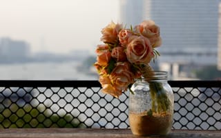 Обои цветы, банка, букет, розы
