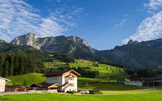 Обои лес, лугопастбищные угодья, Австрия, горные луга, горные леса, горная Австрия, природа, австрийские альпы, Альпы, горы