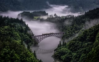 Картинка туман, деревья, пейзажи, поезд, река, природа