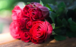 Картинка роза, цветок, цвет, цветочный, оригинальный, розы, цветочная композиция, флора, цветы, красивые, красочный, красивый