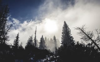 Картинка зима, дерево, горы, сумрак, туман, облако, погода, утро, рассвет, ветвь, небо, растение, пейзажи, природа, свет, снег, бесплатные изображения, горные формы рельефа, солнечный свет, атмосфера, лес, темнота, сезон