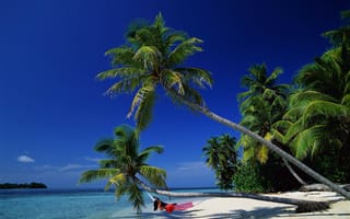 Обои море, ареалы, джунгли, небо, остров, тропики, пляж, океан, залив, лагуна, пальмовые деревья, атолл, дерево, карибский бассейн, побережье, пальмовое семейство, водоём, пейзажи