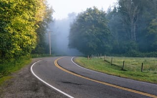 Картинка осень, дорога, деревья, туман