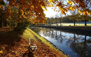 Картинка осень, парк, канал