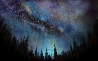 Картинка звезды, деревья, небо, картинки на телефон, ночь, красиво, пейзажи, звездное небо, космос, северное сияние