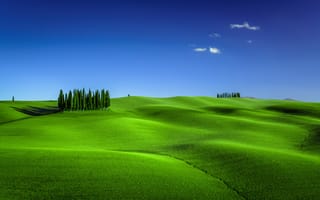 Картинка Tuscany, трава, Италия