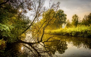 Картинка осень, деревья, закат, река