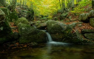 Картинка осень, деревья, лес, водопад
