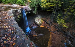 Картинка Ohio Pyle State Park, лес, скалы, осень