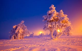 Картинка зимний пейзаж, снег, деревья, сугробы
