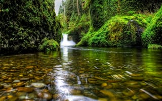 Обои Oregon, Columbia Gorge, Punch Bowl Falls, Ущелье реки Колумбия