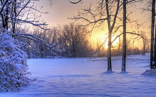 Картинка зима, закат, снег, поле