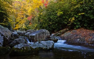 Картинка осень, река, деревья, лес