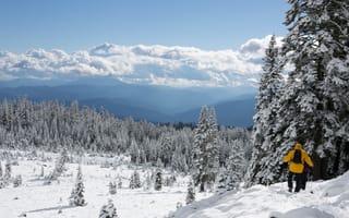Картинка горнолыжный тур, пеший туризм, снег на елках, холодный, обувь, спорт, горы, снегоступ, Холодное сердце, снег, деревья в снегу, хребет, елки в снегу, горный хребет, Альпы, зима, природа, горные формы рельефа, зимний вид спорта, альпинизм на лыжах, зимний лес, погода, снег на ветках
