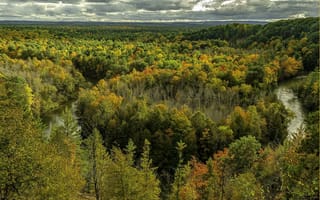 Картинка осень, пейзаж, лес, река, деревья