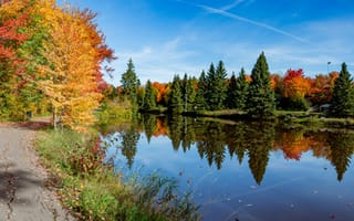 Картинка осень, дорога, деревья, река