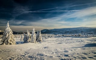 Картинка зима, горы, деревья, поле