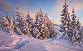 Картинка зима, снег, закат, сугробы
