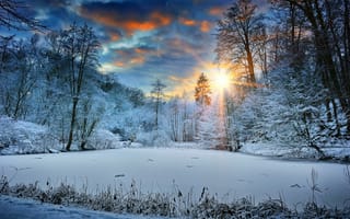 Обои зима, озеро, снег, деревья