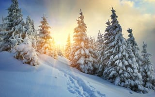 Картинка закат, холм, снег, зима