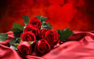 Картинка красивые цветы, розы, роза, букет