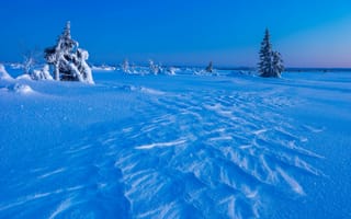 Картинка зима, деревья, сугробы, снег