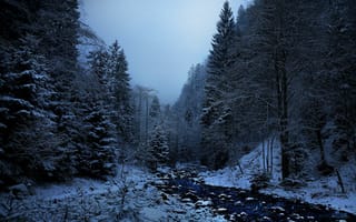 Картинка зима, речка, снег, лес