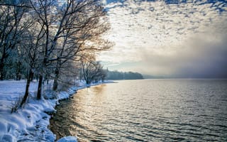 Картинка зима, пейзаж, деревья, озеро