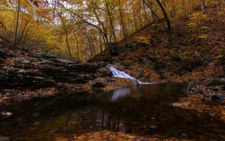 Картинка осень, деревья, лес, водопад