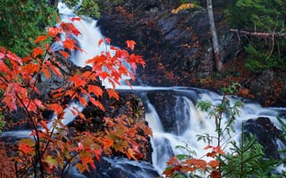 Картинка осень, деревья, лес, река