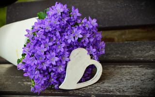 Картинка лепесток, весенние цветы, макросъёмка, букет цветов, романтический, сиреневый, цветочное поздравление, цветы, растение, День святого Валентина, цветок, цветочный горшок, поздравительная открытка, цветок пурпурный, фиолетовый, синий, день матери