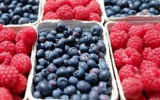 Картинка ягоды, еда, бесплатные изображения, малина, фрукты, рынке, ягода, смородина занте, черника, ежевики