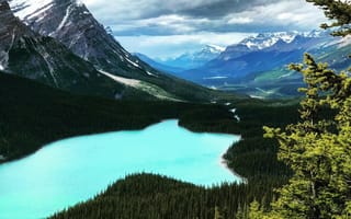 Обои Peyto Lake, природа, облака, пейзаж, Alberta, лес, деревья, горы, Canada, Banff National Park, небо, озеро