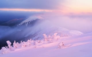 Картинка зима, закат, пейзаж, сугробы, деревья, горы, снег