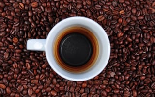 Картинка кофе с молоком, кофейная чашка, бесплатные изображения, напиток, кофе, кофейные зерна, ристретто, образец кофе, кофеин, турецкий кофе, напитки, кофейные кружки, эспрессо, кружка, посуда