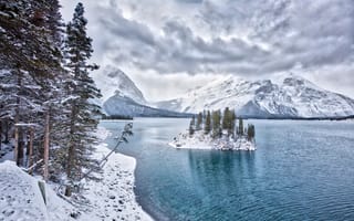 Картинка сосны, озеро, снег, горы, лед, зима, новогодние елки, деревья, природа