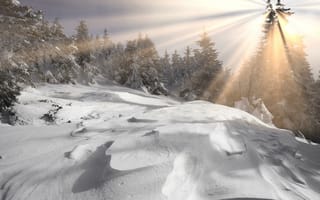 Картинка зима, сугробы, пейзаж, деревья, снег