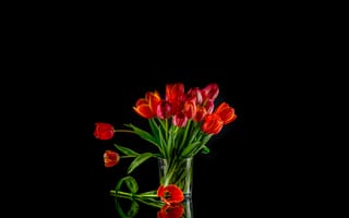 Картинка ваза, флора, цветы, тюльпаны, букет, чёрный