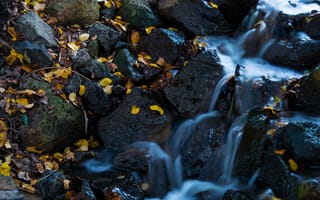 Картинка рок, листья, лист, водоём, природа, водная характеристика, натуральный, осень, водопад, природная вода, вода, поток