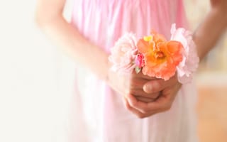 Картинка свадебная одежда, розовый, платье, невеста, девушка, цветок, фотографии, цветы, лепесток, женщина, букет цветов