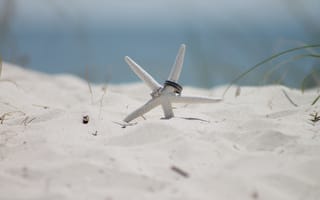 Картинка пляж, обручальное кольцо, морская звезда, минимализм, макросъёмка, песок