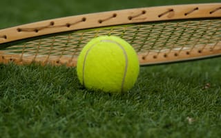 Картинка трава, спорт, теннисный мяч, спортивный инвентарь, ракетки, аксессуар для теннисной ракетки, сеть, мяч, большой теннис