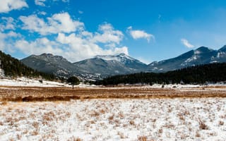 Картинка поле в горах, деревья, снег, трава