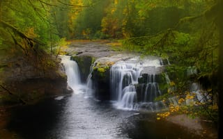 Картинка природа, осень, река в лесу, зеленая листва, фотографии на телефон, водопад, зеленые листья, лето, водопад в лесу