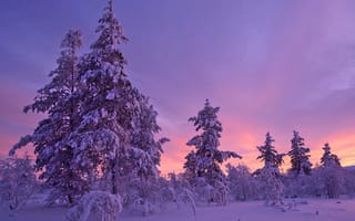 Картинка закат солнца, пейзаж, снег, сугробы, природа, зима, деревья