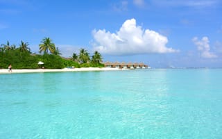 Картинка пляж, море, атолл, побережье, кокосовое дерево, остров, лето, праздник, путешествия, курорт, лагуна, отпуск, бассейн, кай, залив, островок, карибский бассейн, песок, пейзажи, океан, тропики, небо, облако, мыс, архипелаг, бесплатные фотографии, Мальдивы