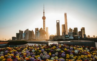 Картинка Китай, шанхай, солнечный свет, город, цветы